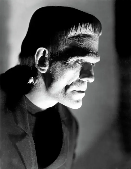 Framed Print : FRANKENSTEIN, Boris Karloff, 1931