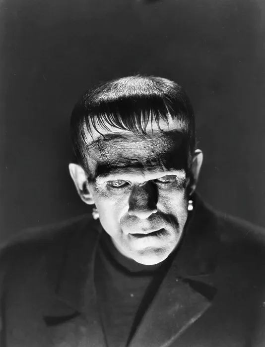 Framed Print : FRANKENSTEIN, Boris Karloff, 1931