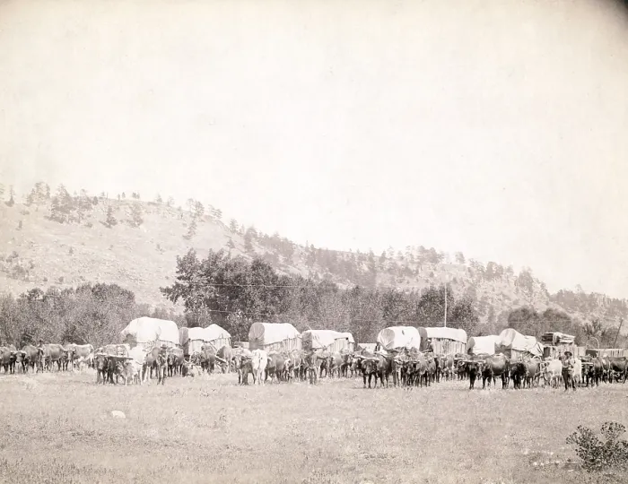 Framed Print : Freighting in the Black Hills. Several ox teams and wagons in a valley, Dakota Territory. photo by John C. Grabill, 1887
