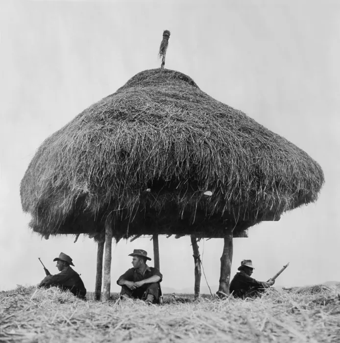 Framed Print : French Foreign Legion soldiers keeping lookout for Viet Minh fighters under the shelter of a thatched radio hut in 1951.The French Indochina War (1946-1954)