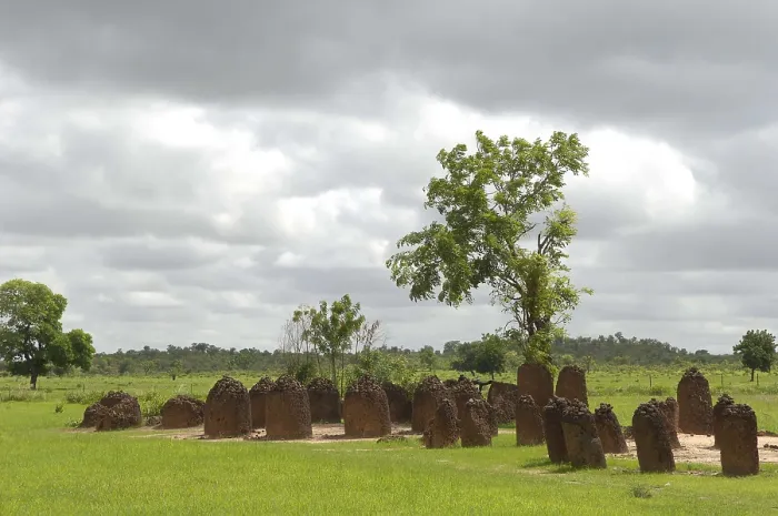 Framed Print : THE GAMBIA. Wassu. Stone circles. AISA / Everett Collection**US SALES ONLY**