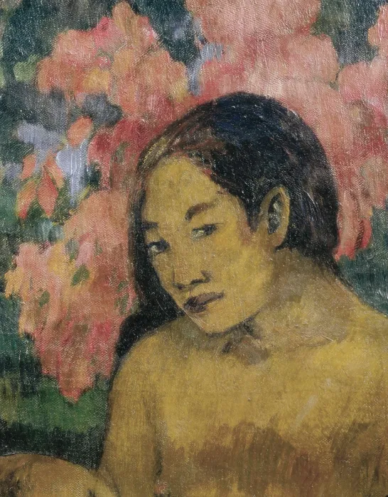 Framed Print : GAUGUIN, Paul (1848-1903). And the Gold of their Bodies. 1901. Central detail. Woman's face. Post-Impressionism. Oil on canvas. FRANCE. Paris. Muse d'Orsay (Orsay Museum) Framed Print : GAUGUIN, Paul (1848-1903). And the Gold of their Bodies. 1901. Central detail. Woman's face. Post-Impressionism. Oil on canvas. FRANCE. Paris. Muse d'Orsay (Orsay Museum)