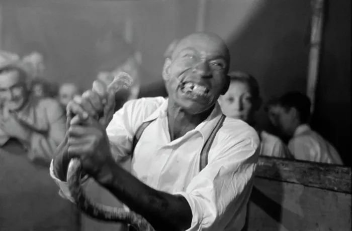 Framed Print : Geek biting off the head of a snake at a sideshow, Louisiana State Fair, 1938 Framed Print : Geek biting off the head of a snake at a sideshow, Louisiana State Fair, 1938