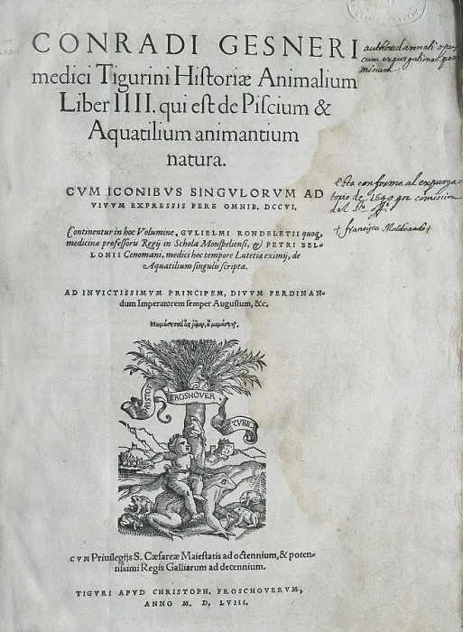 Framed Print : GESSNER, Conrad (1516-1565). 'Historiae Animalium' (1558). Edition carried out in Zurich by Christoph Froschoversum. SPAIN. Salamanca. Salamanca University Library Framed Print : GESSNER, Conrad (1516-1565). 'Historiae Animalium' (1558). Edition carried out in Zurich by Christoph Froschoversum. SPAIN. Salamanca. Salamanca University Library