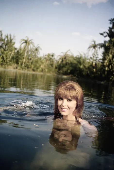 Framed Print : GILLIGAN'S ISLAND, Tina Louise, (1966), 1964-1967