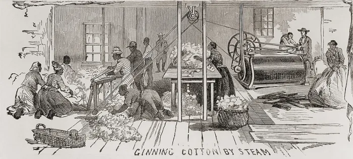 Framed Print : Ginning cotton by steam powered gin in 1861. U.S. cotton production supplied the textile mills of the U.S. North and Britain, and accounted for 57% of U.S. exports in 1860
