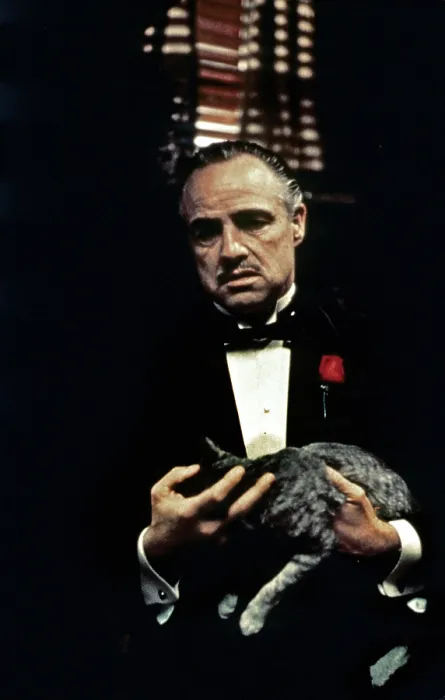 Framed Print : THE GODFATHER, Marlon Brando, 1972