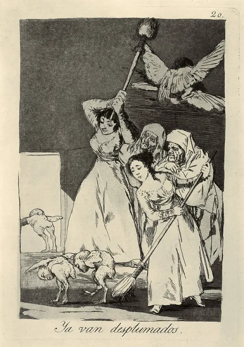 Framed Print : GOYA Y LUCIENTES, Francisco de (1746-1828). There they go, plucked. 1799. Plate 20 of 'Los Caprichos', etching, burnished and drypoint. Romanticism. Etching; Engraving