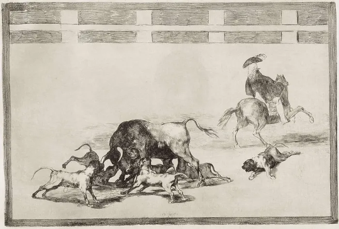 Framed Print : GOYA Y LUCIENTES, Francisco de (1746-1828). They loose dogs on the bull. 1815-1816. Plate 25 of 'The Art of Bullfighting'. Etching. SPAIN. Madrid. National Library