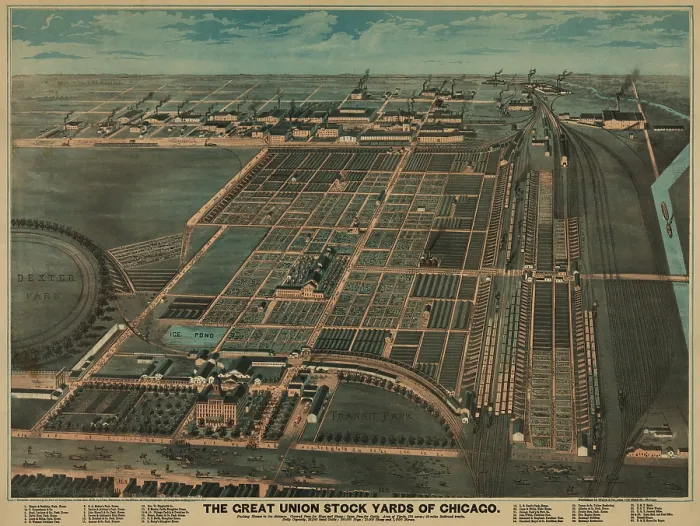 Framed Print : The Great Union Stock Yards of Chicago incorporated space for over 200, 000 live animals, to be processed through slaughter houses, meat processing, and for derivative products Framed Print : The Great Union Stock Yards of Chicago incorporated space for over 200, 000 live animals, to be processed through slaughter houses, meat processing, and for derivative products
