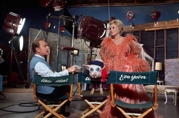 Framed Print : GREEN ACRES, Eddie Albert, Arnold the Piggy, Eva Gabor, (1968) 1965-1971