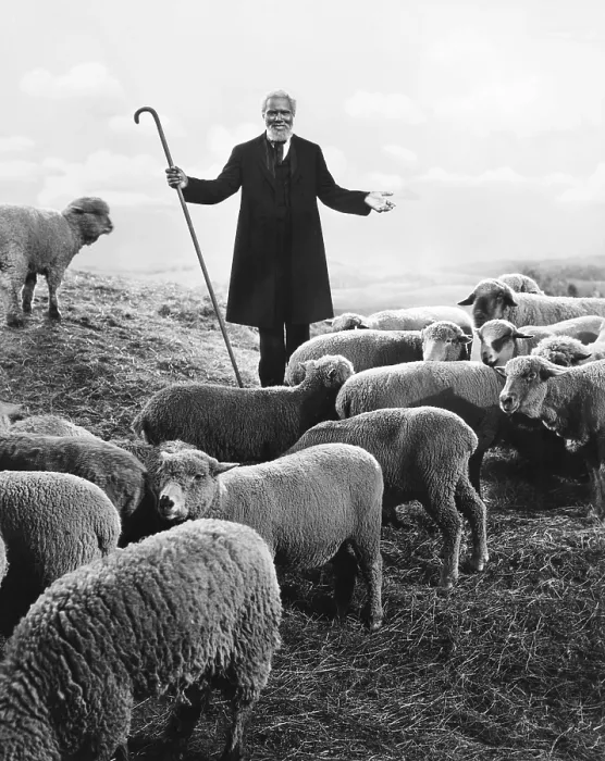 Framed Print : THE GREEN PASTURES, Rex Ingram, 1936