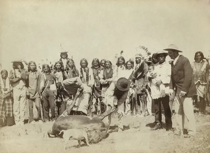 Framed Print : Group of Lakota skinning cattle, during meat rations distribution, c. 1887-92. At Pine Ridge Reservation, according to treaty, beef and other rations were provided monthly Framed Print : Group of Lakota skinning cattle, during meat rations distribution, c. 1887-92. At Pine Ridge Reservation, according to treaty, beef and other rations were provided monthly