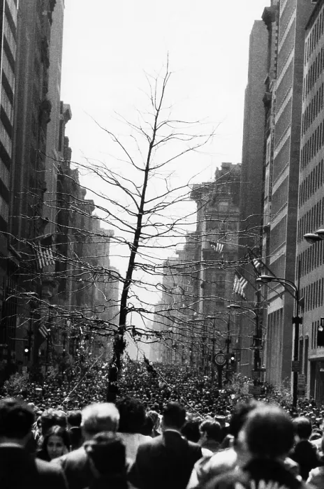 Framed Print : A group of marchers carry a tree on 5th Avenue, as part of Earth Day. New York City, New York. 4 / 22 / 70. Courtesy CSU Archives / Everett Collection