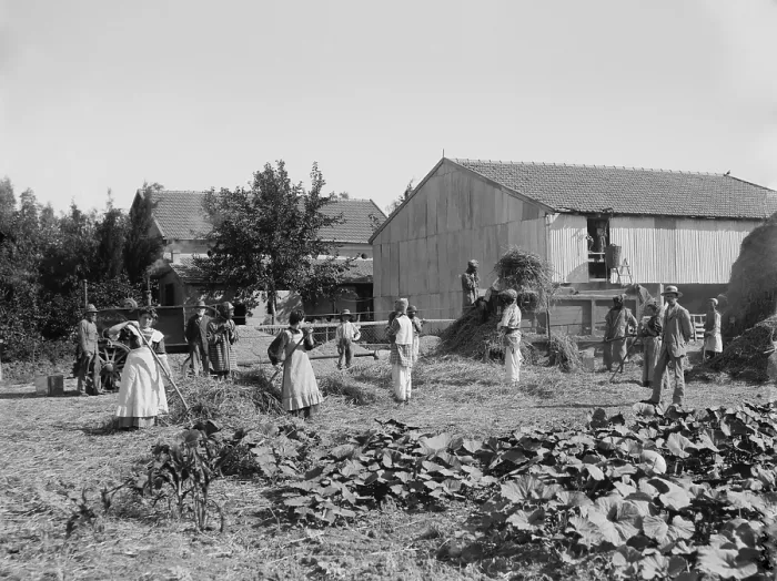 Framed Print : Group portrait of members of a Jewish kibbutz, in Palestine. Ca. 1920-39