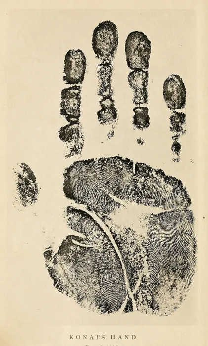 Framed Print : Hand print from India Framed Print : Hand print from India