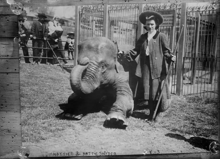 Framed Print : Hattie Snyder, elephant trainer, and Hattie the elephant, circa early 1900s