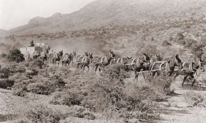 Framed Print : Hauling ore by wagons with a fourteen mule team from Potosi mine, Nevada Framed Print : Hauling ore by wagons with a fourteen mule team from Potosi mine, Nevada