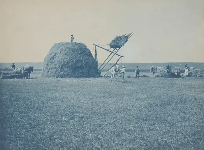 Framed Print : Haying on the Riverside Farm, Huron, South Dakota, 1898. Midwest farmers stacking hay with a catapult