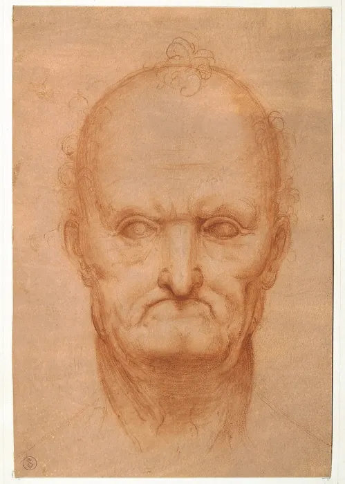 Framed Print : Head of an AgedOld man, by probably apprentice Leonardo da Vinci, 16th Century, 1500 -1525 about, sanguine, - Italy, Piemonte, Turin, Royal Library Framed Print : Head of an AgedOld man, by probably apprentice Leonardo da Vinci, 16th Century, 1500 -1525 about, sanguine, - Italy, Piemonte, Turin, Royal Library