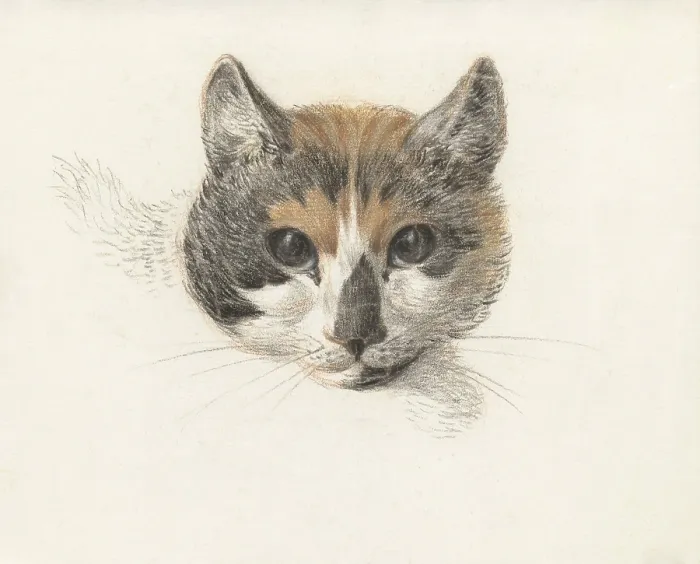 Framed Print : Head of a Calico Cat From the Front, with Open Eyes, by Jean Bernard, Dutch chalk and pencil drawing. (BSLOC_2016_1_268) Framed Print : Head of a Calico Cat From the Front, with Open Eyes, by Jean Bernard, Dutch chalk and pencil drawing. (BSLOC_2016_1_268)