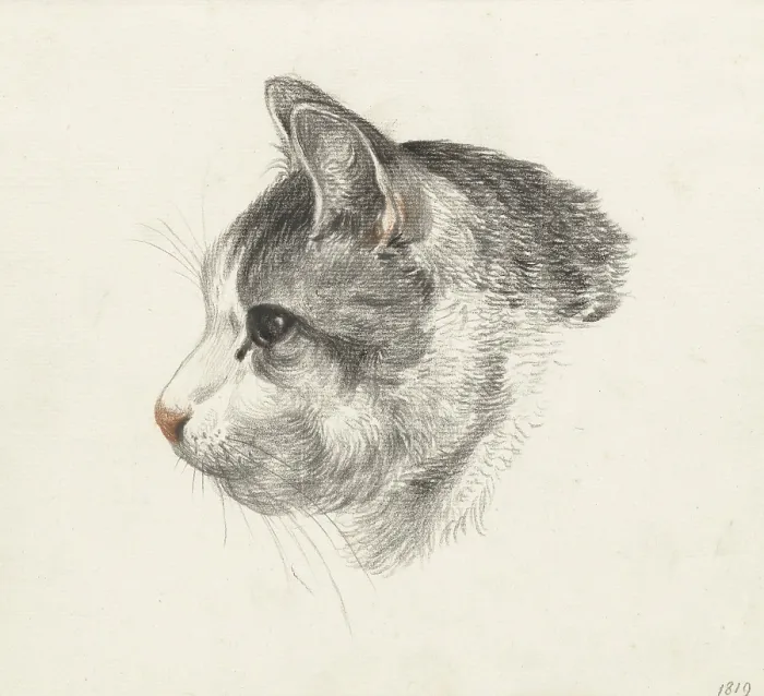 Framed Print : Head of a Cat, Facing Left, by Jean Bernard, 1819, Dutch chalk drawing. (BSLOC_2016_1_266)