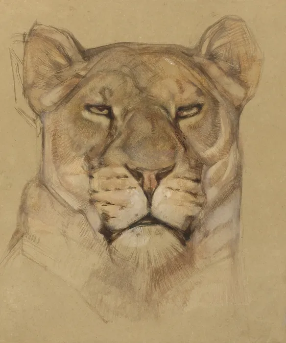 Framed Print : Head of Lioness, Bernard Willem Wierink, c. 1900-30, Dutch watercolor painting. (BSLOC_2016_1_285)