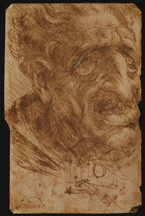 Framed Print : Head of an Old Man and Sketches of a Mechanical Device, by Leonardo da Vinci, 15th Century, 1490 -1499 about, pen and fine brush with sepia color ink, watercolor