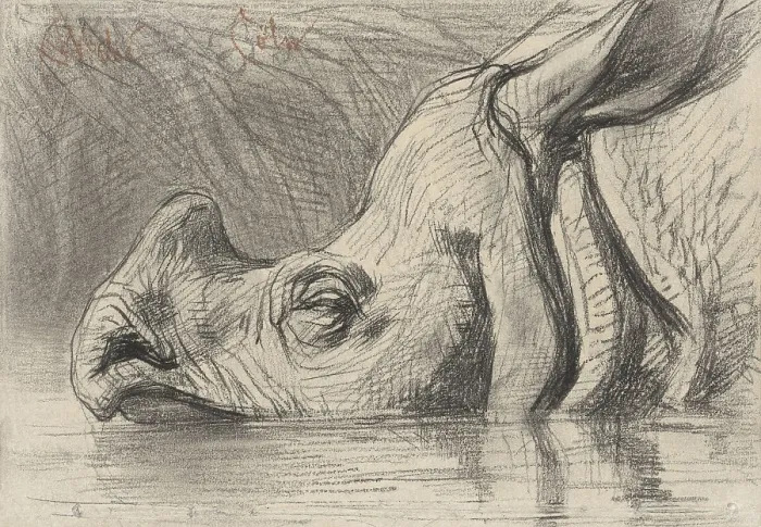 Framed Print : Head of a Rhinoceros, Half in the Water, by August Allebe, c. 1860-1900, Dutch chalk drawing. (BSLOC_2016_1_259)