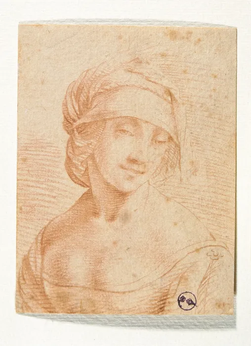 Framed Print : Head of a Young Woman, by school of, 16th Century, - Italy, Piemonte, Turin, Royal Library, Dis. Cart. 1939 bis. (621884) Everett CollectionMondadori Portfolio**US SALES ONLY**