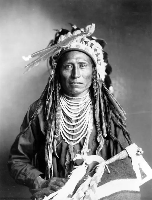 Framed Print : Heebe-tee-tse of the Shoshone Nation. Ca 1899 Framed Print : Heebe-tee-tse of the Shoshone Nation. Ca 1899