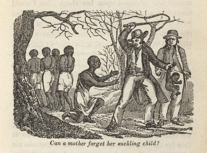 Framed Print : Henry Bibb (1815-1854) authored a compelling memoir of slavery with eyewitness illustrations of slavery Framed Print : Henry Bibb (1815-1854) authored a compelling memoir of slavery with eyewitness illustrations of slavery