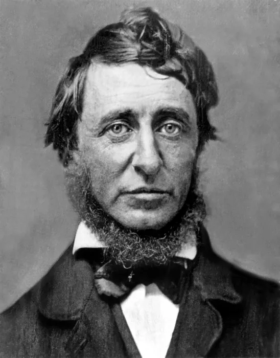 Framed Print : Henry David Thoreau. Courtesy: CSU Archives / Everett Collection Framed Print : Henry David Thoreau. Courtesy: CSU Archives / Everett Collection