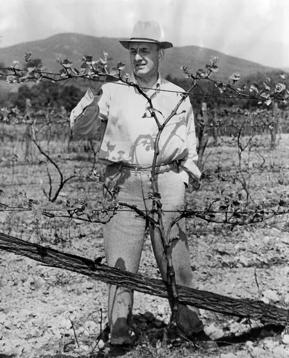 Framed Print : Henry Morgenthau Jr. (Secretary of the Treasury) at his vinyard in Wiccopee, New York, May 17, 2944. Courtesy: CSU Archives / Everett Collection Framed Print : Henry Morgenthau Jr. (Secretary of the Treasury) at his vinyard in Wiccopee, New York, May 17, 2944. Courtesy: CSU Archives / Everett Collection