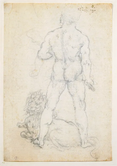 Framed Print : Hercules with the Nemean lion, View of from behind standing, by Leonardo da Vinci, 16th Century, 1505 -1508 about, charcoal and a metal tip, mm 280 x 190 - Italy, Piemonte, Turin Framed Print : Hercules with the Nemean lion, View of from behind standing, by Leonardo da Vinci, 16th Century, 1505 -1508 about, charcoal and a metal tip, mm 280 x 190 - Italy, Piemonte, Turin