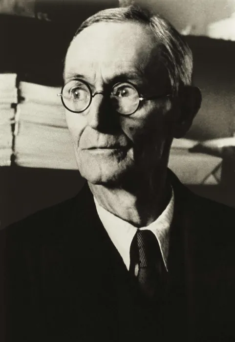 Framed Print : HESSE, Herman (1877-1962). AISA / Everett Collection**US SALES ONLY**