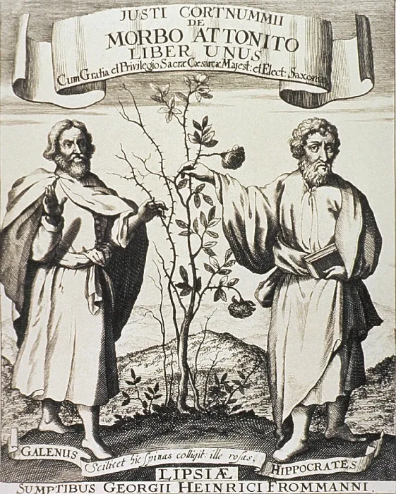 Framed Print : Hippocrates (on right) and Galen. Where Hippocrates touches the rosebush it flowers, whereas Galen's side is nothing but thorns