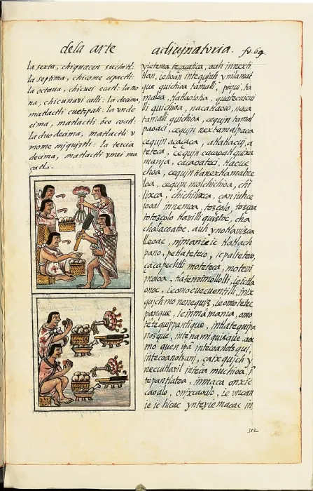 Framed Print : Historia General de las Cosas de Nueva Espaa Aztec Chronicles, by Unknown Artist, 1575 - 1577 about, 16th Century, - Italy, Tuscany, Florence, Medicean Laurentian Library. All Framed Print : Historia General de las Cosas de Nueva Espaa Aztec Chronicles, by Unknown Artist, 1575 - 1577 about, 16th Century, - Italy, Tuscany, Florence, Medicean Laurentian Library. All
