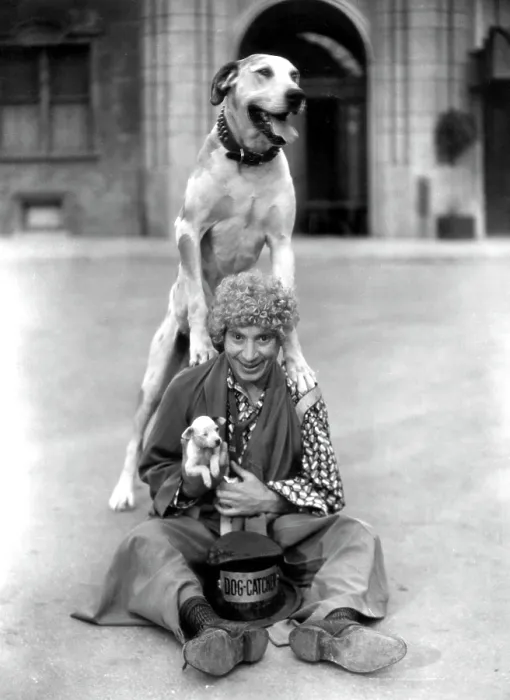 Framed Print : HORSE FEATHERS, Harpo Marx, 1932