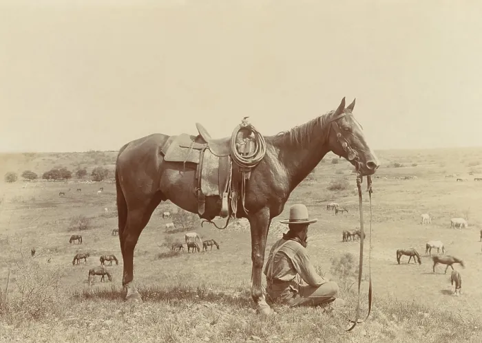 Framed Print : The Horse Wrangler, by Erwin E. Smith, 1910. Wranglers were cowboys who took care of the horses on a cattle drive