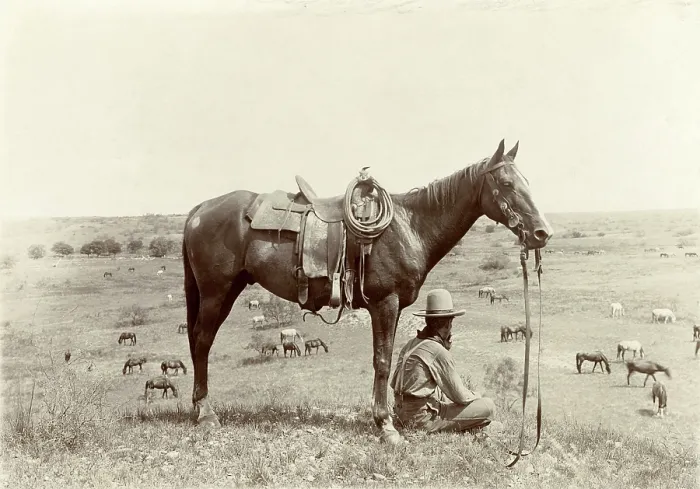 Framed Print : The Horse Wrangler, photograph by Erwin E. Smith, June 24, 1910 Framed Print : The Horse Wrangler, photograph by Erwin E. Smith, June 24, 1910