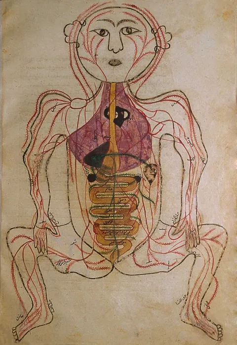 Framed Print : The human circulation system, from MANSUR'S ANATOMY, authored by the Persian scholar and physician, Mansur ibn Ilyas (ca. 1370-1423) Framed Print : The human circulation system, from MANSUR'S ANATOMY, authored by the Persian scholar and physician, Mansur ibn Ilyas (ca. 1370-1423)