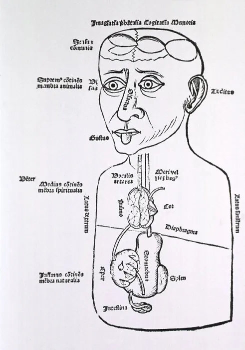 Framed Print : Human figure, half-length, with some of the abdominal internal organs, the senses, and sections of the brain identified. From book by Johannes Peyligk (1474-1522). 1499 Framed Print : Human figure, half-length, with some of the abdominal internal organs, the senses, and sections of the brain identified. From book by Johannes Peyligk (1474-1522). 1499
