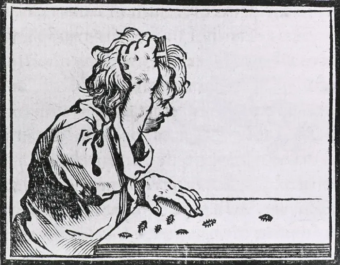 Framed Print : Human hair lice. Male youth seated at a table, combing the lice out of his hair. Woodcut from HISTORIA MEDICA, published in Brussels in 1639 Framed Print : Human hair lice. Male youth seated at a table, combing the lice out of his hair. Woodcut from HISTORIA MEDICA, published in Brussels in 1639