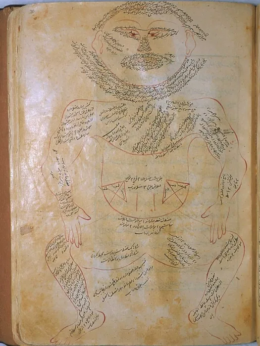 Framed Print : The human musculature, from MANSUR'S ANATOMY, authored by the Persian scholar and physician, Mansur ibn Ilyas (ca. 1370-1423) Framed Print : The human musculature, from MANSUR'S ANATOMY, authored by the Persian scholar and physician, Mansur ibn Ilyas (ca. 1370-1423)