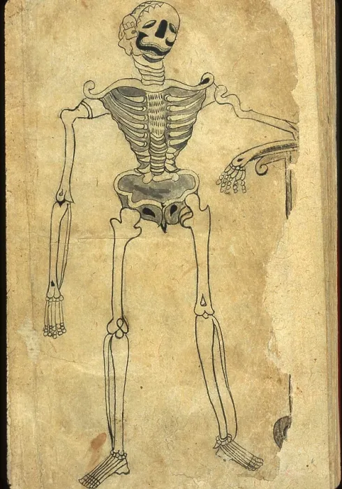 Framed Print : Human skeleton leaning on a scythe, drawn in ink and light-gray wash from a Persian translation of an Arabic medical book