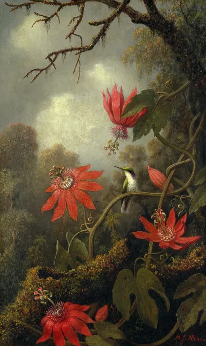 Framed Print : HUMMINGBIRD AND PASSION FLOWERS, by Martin Johnson Heade, 1875-85, American painting, oil on canvas Framed Print : HUMMINGBIRD AND PASSION FLOWERS, by Martin Johnson Heade, 1875-85, American painting, oil on canvas