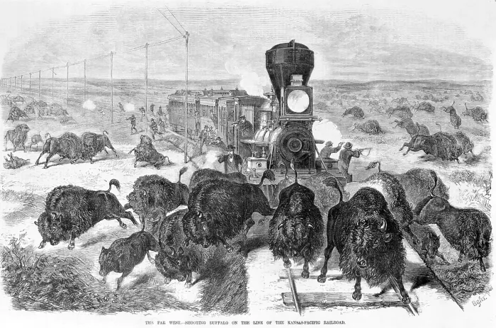 Framed Print : Hunters shooting at a herd of bison from a train and along the tracks, the far west - shooting buffalo on the line of the Kansas-Pacific Railroad, wood engraving, 1871