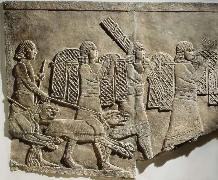 Framed Print : Hunting with hounds. ca. 645 BC. Panel situated at the north zone of the palace. Assyrian art. Relief on rock. UNITED KINGDOM. London. The British Museum. Proc: IRAQ. Kuyunjik