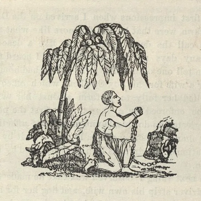 Framed Print : Am I Not a Man and a Brother? The trademark image of the British Abolitionists, showing a slave in chains appealing for his liberation